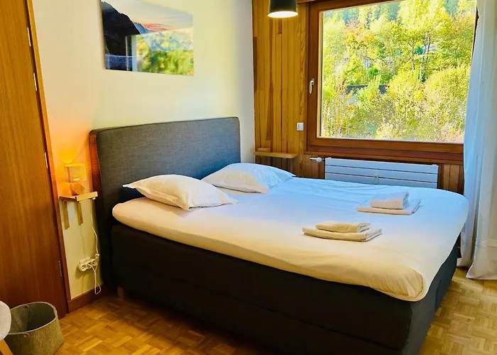 Comfort Nature And Exceptional Mont Blanc View Daire