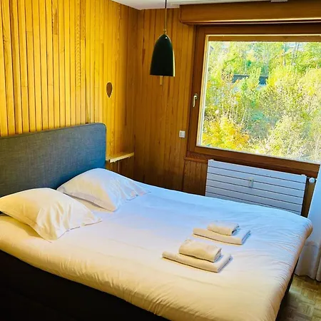 Comfort Nature And Exceptional Mont Blanc View Chamonix