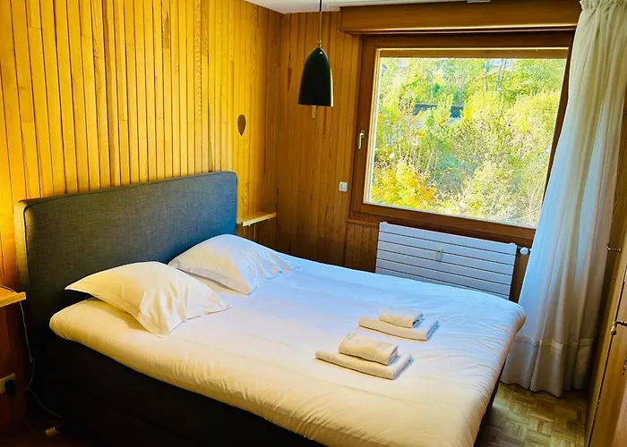 Comfort Nature&exceptional Mont Blanc View Chamonix