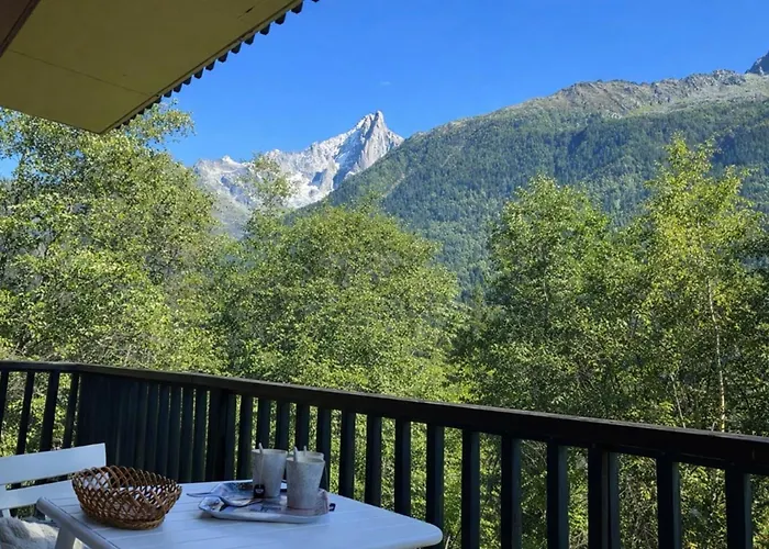 Comfort Nature&exceptional Mont Blanc View * Chamonix
